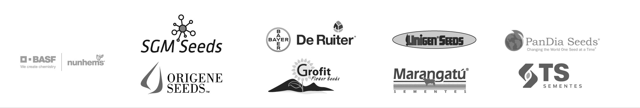 Marcas: BASF, SGM Seeds, Bayer, De Ruiter, Unigen, PanDia, Origene, Grofit, Marangatú, TS Sementes