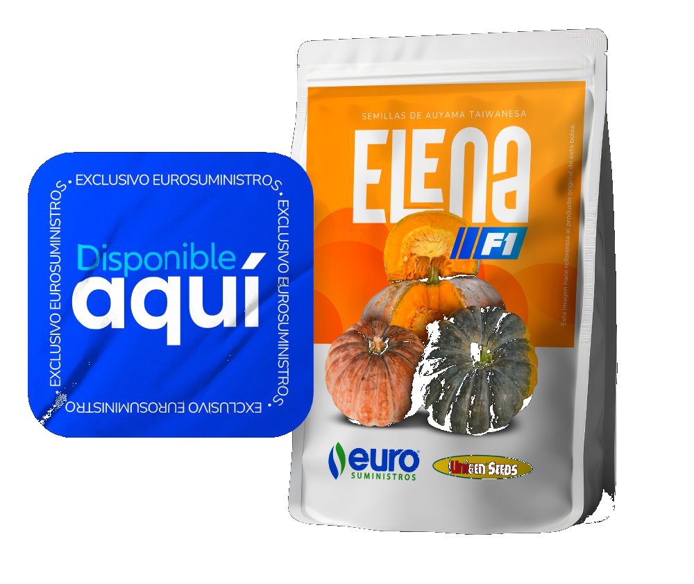 Semilla Auyama Elena F1