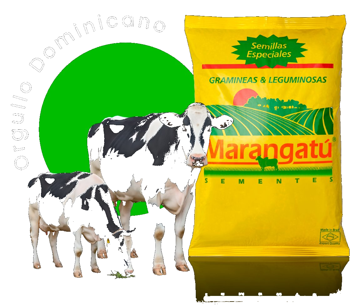 Semillas Marangatú